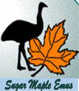 Logo Sugar Maple Emus Sugar Maple Emus